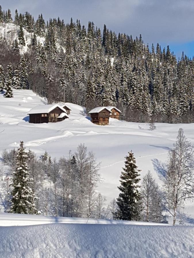 Kvambekk Gard i Åmotsdal Villa Eksteriør bilde